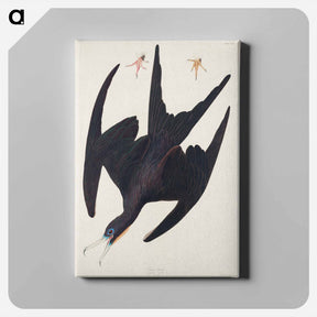 アートパネル-Frigate Pelican
 - ジョン ジェームス オーデュボン Canvas.