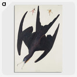 3-26_John-James-Audubon_picture-crop