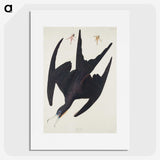 3-26_John-James-Audubon_picture