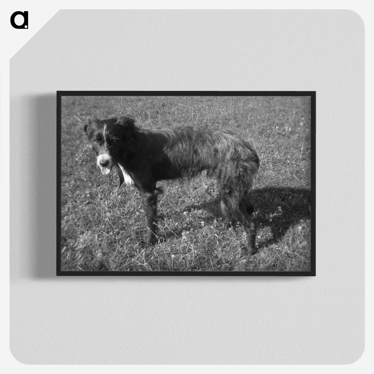 3-26_Leslie-Adkin_blk-crop