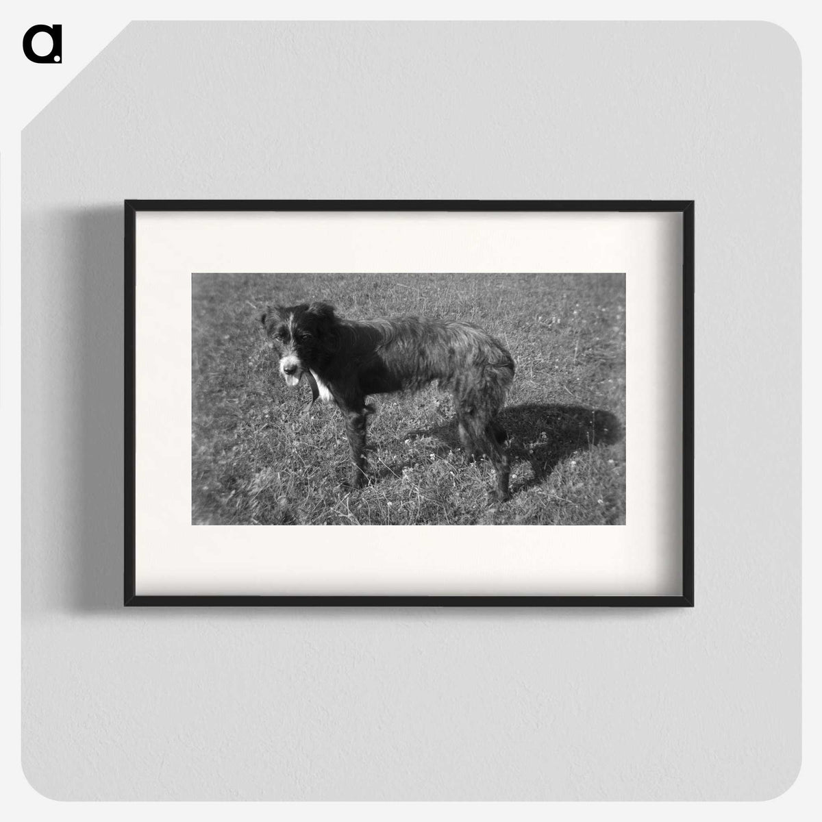 3-26_Leslie-Adkin_blk