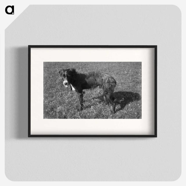 3-26_Leslie-Adkin_blk