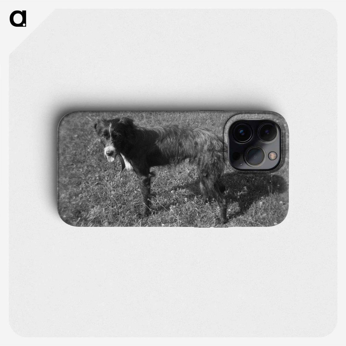 3-26_Leslie-Adkin_phone
