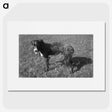 3-26_Leslie-Adkin_picture
