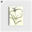 3-26_Maria-Sibylla-Merian_memo
