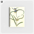 アートメモ帳-Tradescantia virginiana or Tradescantia ohiensis
 - マリア ジビーラ メーリアン Memo.