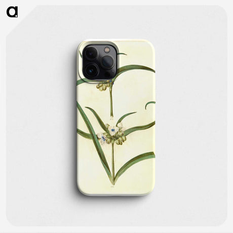 3-26_Maria-Sibylla-Merian_phone