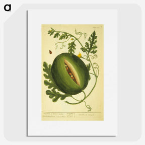 3-26_National-Library-of-Medicine_picture