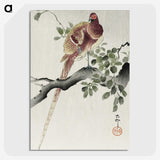 3-26_Ohara-Koson_picture-crop