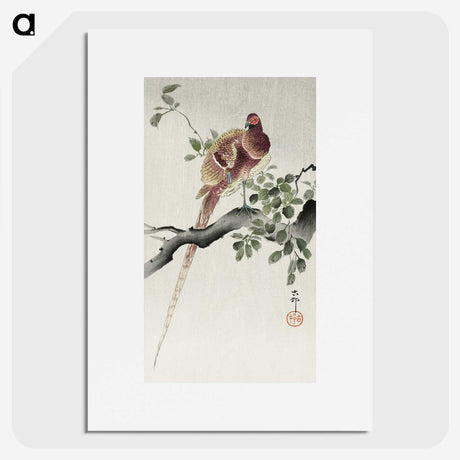3-26_Ohara-Koson_picture