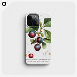 3-26_Pierre-Joseph-Redoute_phone