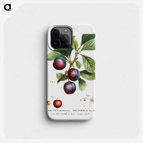 3-26_Pierre-Joseph-Redoute_phone