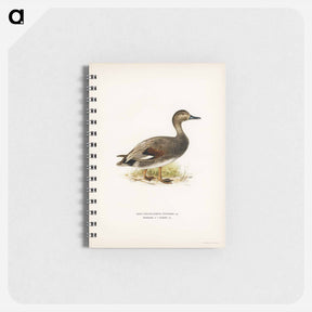 アートメモ帳-Gadwall
 - スヴェンスカ フォグラル Memo.
