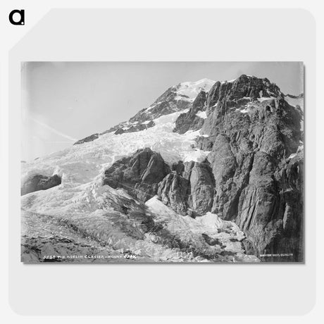 3-26_The-Burton-Brothers_picture-crop