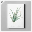 3-26_The-Lilies_canvas
