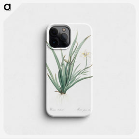 3-26_The-Lilies_phone
