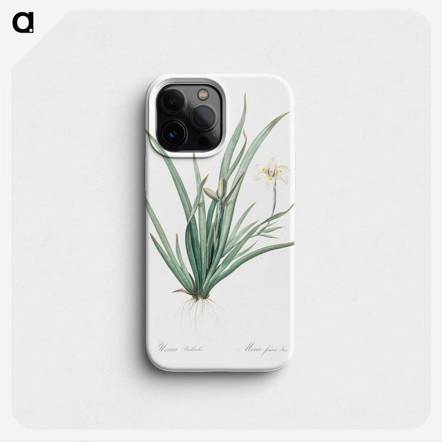 3-26_The-Lilies_phone