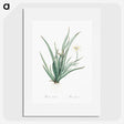 3-26_The-Lilies_picture