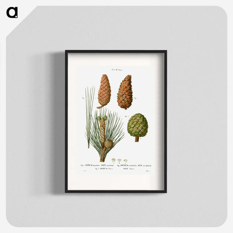 3-26_Treatise-on-Trees-and-Shrubs_blk