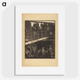 3-27_Alfred-Stieglitz_picture