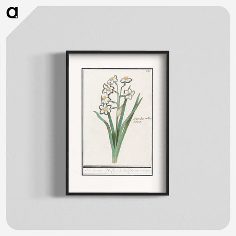 3-27_Anselmus-Boetius-de-Boodt_blk