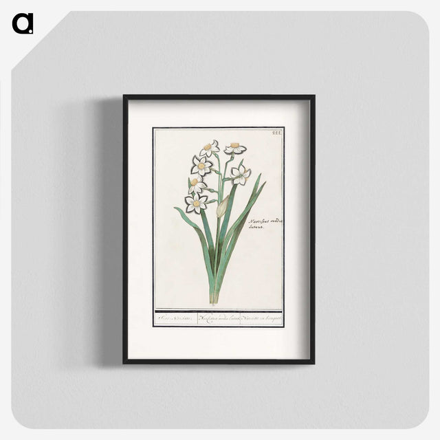 3-27_Anselmus-Boetius-de-Boodt_blk