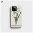 3-27_Anselmus-Boetius-de-Boodt_phone