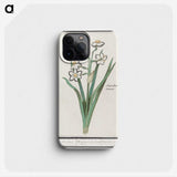 3-27_Anselmus-Boetius-de-Boodt_phone
