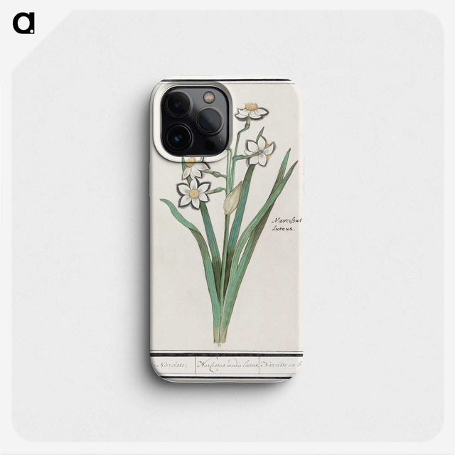 3-27_Anselmus-Boetius-de-Boodt_phone