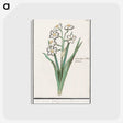 3-27_Anselmus-Boetius-de-Boodt_postcard