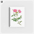 アートメモ帳-Rosa Collina Monsoniana
 - クリーブランド美術館 Memo.