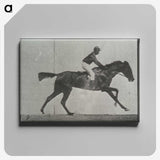 3-27_Eadweard-Muybridge_canvas