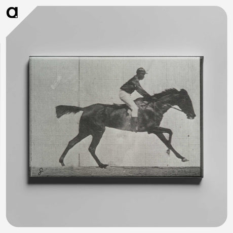 3-27_Eadweard-Muybridge_canvas