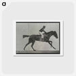 アートポストカード-Galloping Horse and Rider
 - エドワード マイブリッジ Postcard.