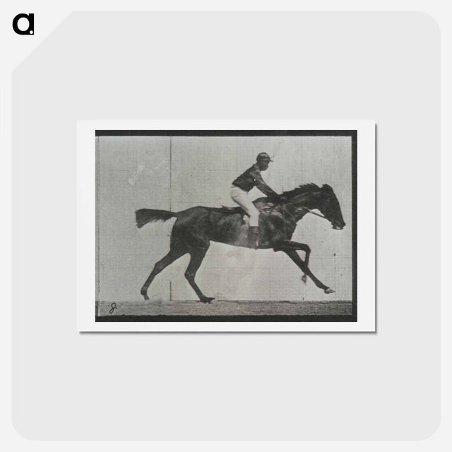 アートポストカード-Galloping Horse and Rider
 - エドワード マイブリッジ Postcard.