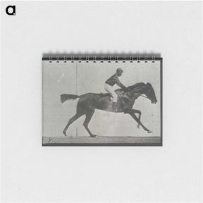3-27_Eadweard-Muybridge_memo