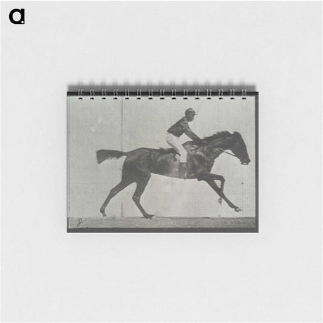 3-27_Eadweard-Muybridge_memo