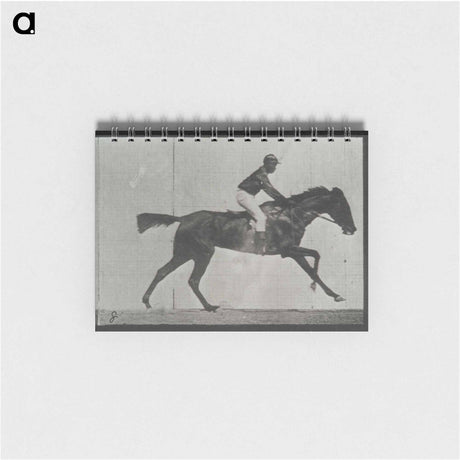 アートメモ帳-Galloping Horse and Rider
 - エドワード マイブリッジ Memo.