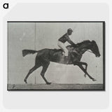 3-27_Eadweard-Muybridge_picture-crop