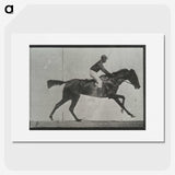 3-27_Eadweard-Muybridge_picture