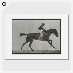 3-27_Eadweard-Muybridge_picture