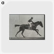 3-27_Eadweard-Muybridge_postcard