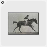 アートポストカード-Galloping Horse and Rider
 - エドワード マイブリッジ Postcard.