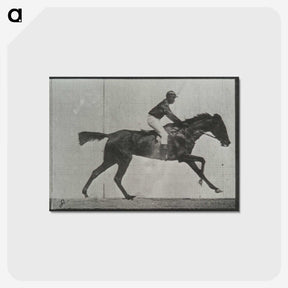 3-27_Eadweard-Muybridge_postcard