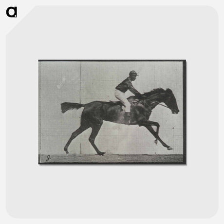 アートポストカード-Galloping Horse and Rider
 - エドワード マイブリッジ Postcard.