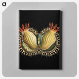Colorful vintage tunicate marine life illustration - エルンスト ヘッケル Canvas.
