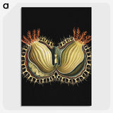 3-27_Ernst-Haeckel_picture-crop