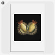3-27_Ernst-Haeckel_picture