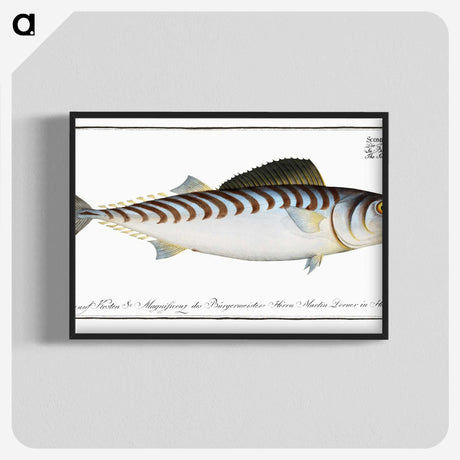 3-27_Ichtyologie-ou-Histoire-naturelle_blk-crop