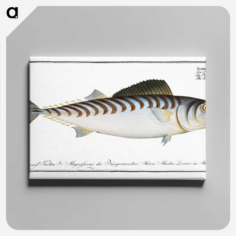 3-27_Ichtyologie-ou-Histoire-naturelle_canvas
